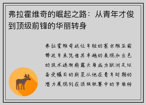 弗拉霍维奇的崛起之路：从青年才俊到顶级前锋的华丽转身