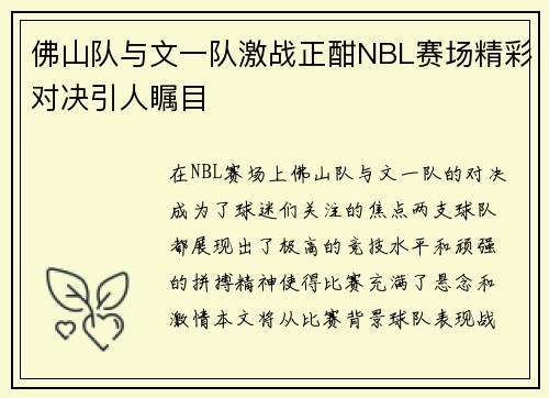 佛山队与文一队激战正酣NBL赛场精彩对决引人瞩目