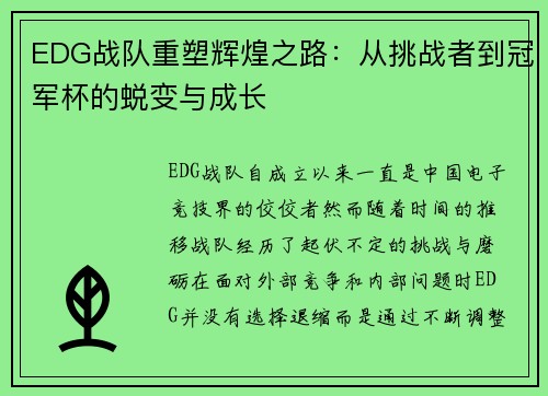 EDG战队重塑辉煌之路：从挑战者到冠军杯的蜕变与成长
