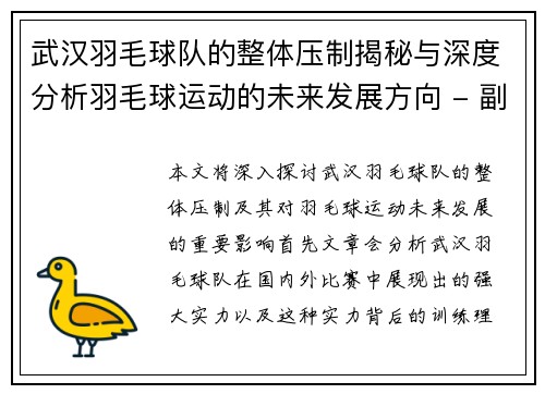 武汉羽毛球队的整体压制揭秘与深度分析羽毛球运动的未来发展方向 - 副本
